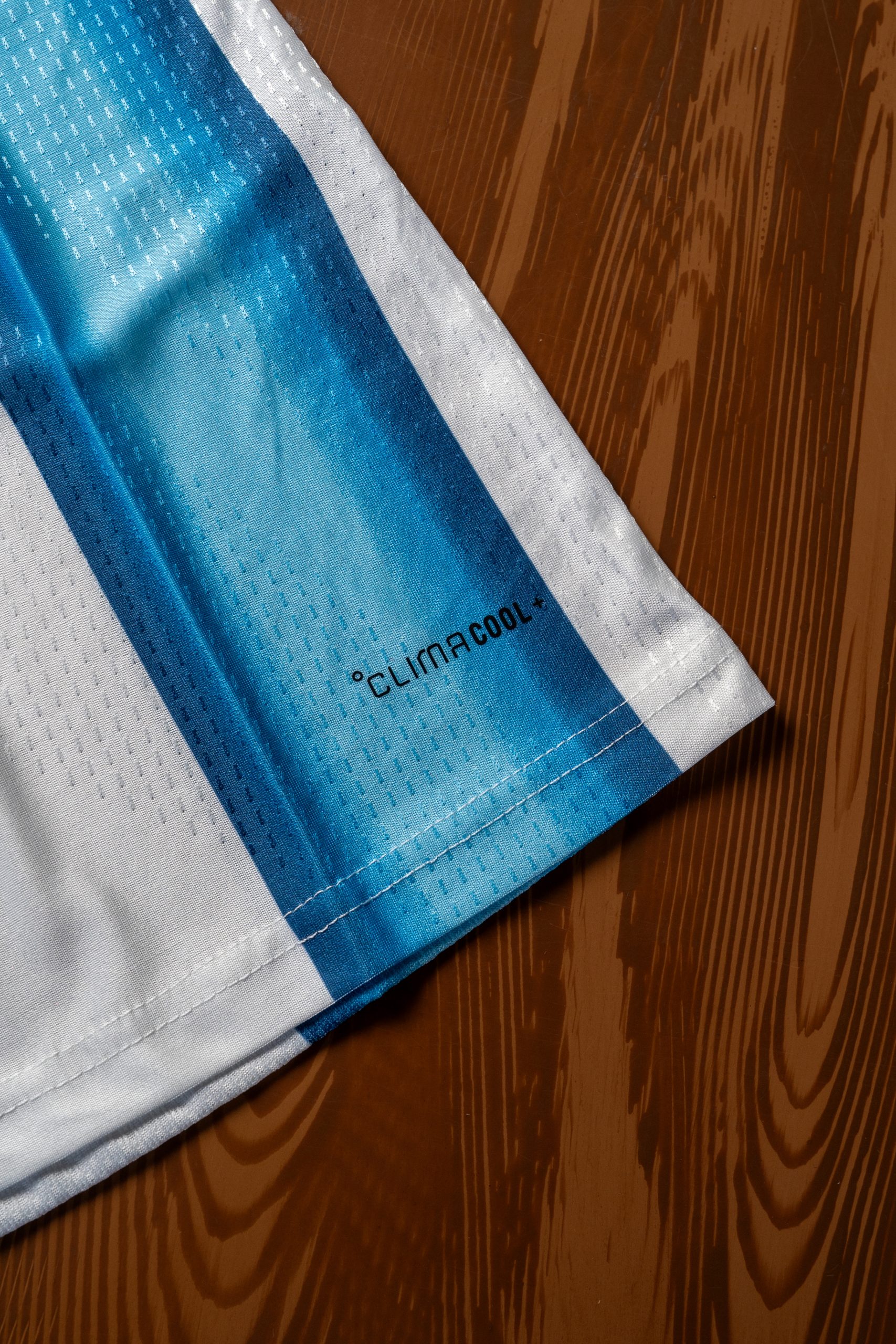 Jersey Argentina Home - Image 9